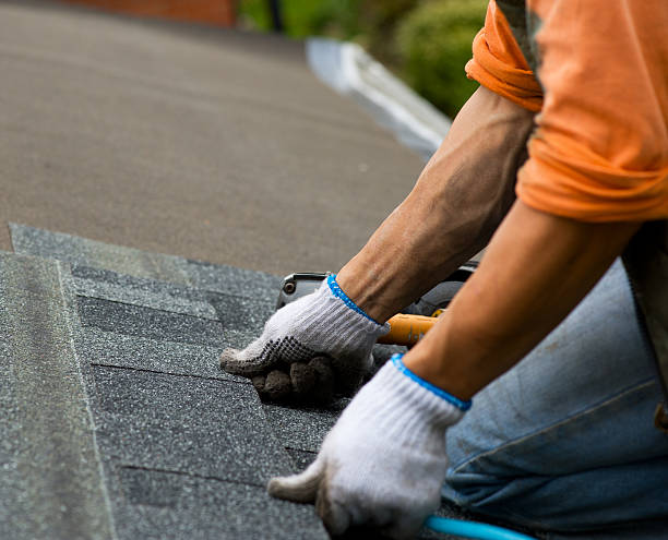 Best Storm Damage Roof Repair  in Logan, OH