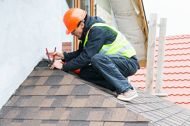 Best Roof Gutter Cleaning  in Logan, OH
