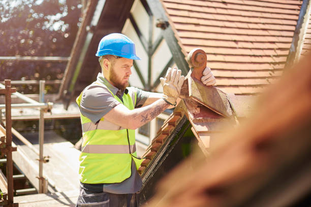 Best Sealant for Roof  in Logan, OH